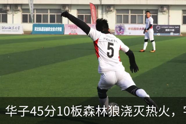 华子45分10板森林狼浇灭热火，字母哥首秀35+6三球21分6助攻