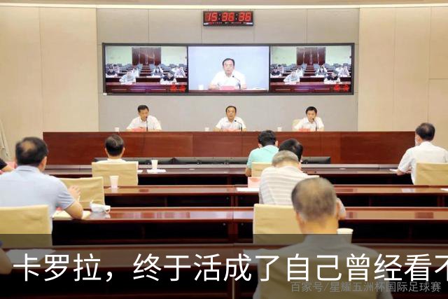 卡罗拉，终于活成了自己曾经看不上的样子