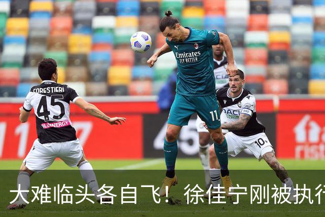 大难临头各自飞！徐佳宁刚被执行2111万，李小冉就和他划清界限