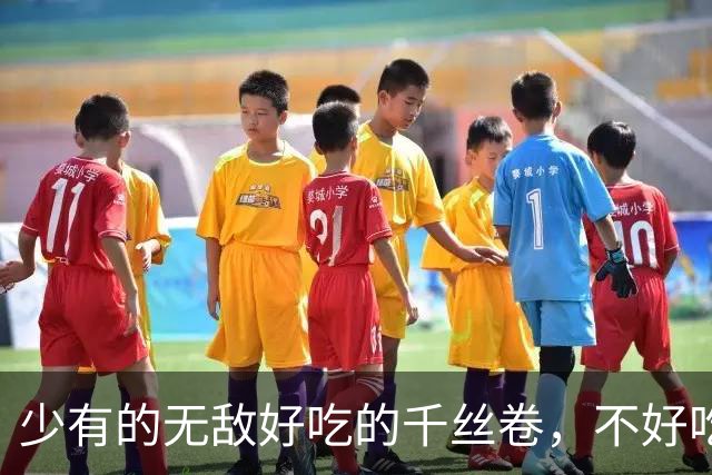 少有的无敌好吃的千丝卷，不好吃包退【君之优选】