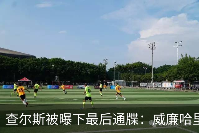 查尔斯被曝下最后通牒：威廉哈里必须公开同框