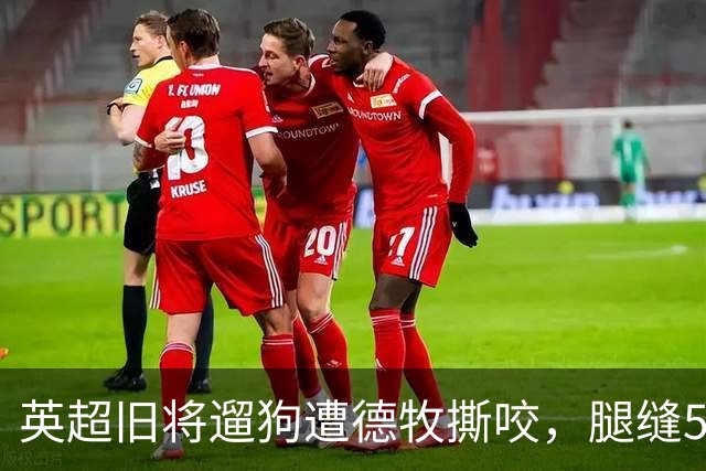 英超旧将遛狗遭德牧撕咬，腿缝50多针，最后是自家狗救了他一命