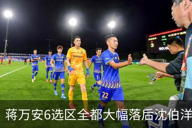 蒋万安6选区全都大幅落后沈伯洋，王世坚：合乎情理，意料之中