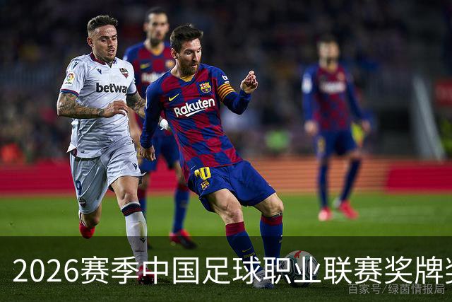 2026赛季中国足球职业联赛奖牌奖杯奖盘供应商征集-结果公告