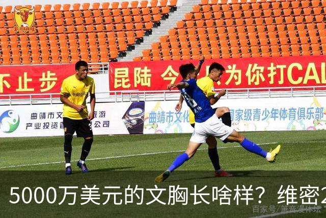 5000万美元的文胸长啥样？维密2026大秀，奚梦瑶回归，刘雯第十次登台，贺聪环节开场，国模好精彩~
